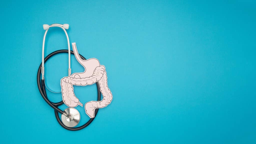 A stethoscope and large intestine shape made from paper over
