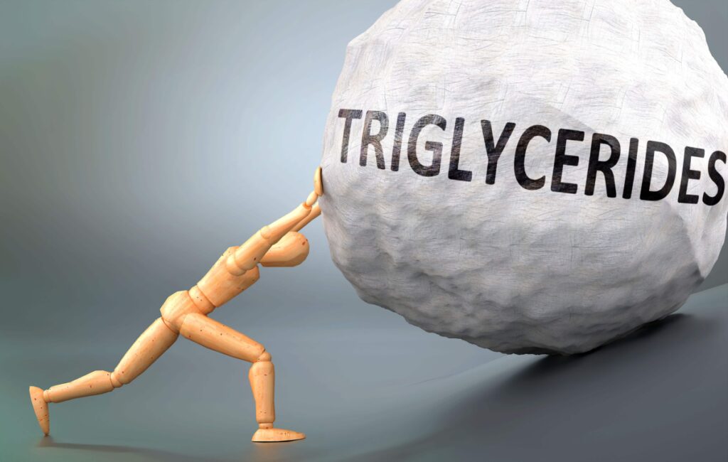 Triglycerides and painful human condition, pictured as a wooden human figure pushing heavy weight to show how hard it can be to deal with triglycerides in human life, 3d illustration.
