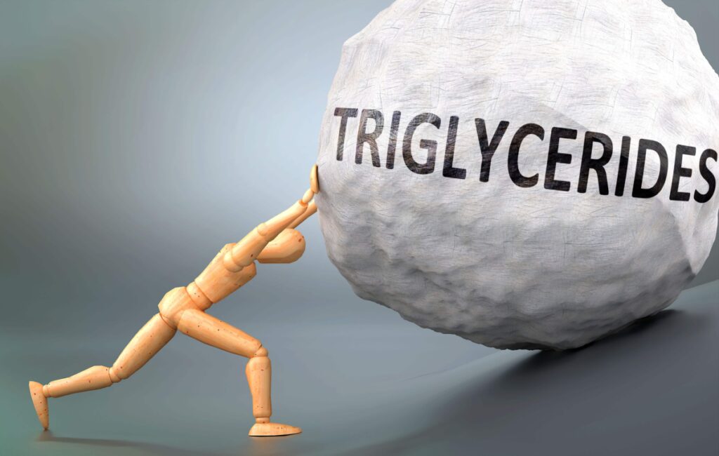 Triglycerides and painful human condition, pictured as a wooden human figure pushing heavy weight to show how hard it can be to deal with Triglycerides in human life, 3d illustration.