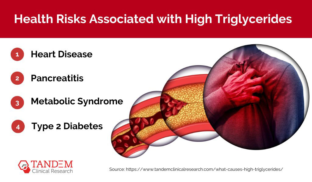 Health risks high triglycerides