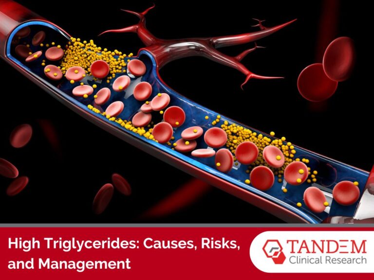 Understanding high triglycerides: causes, risks, and management