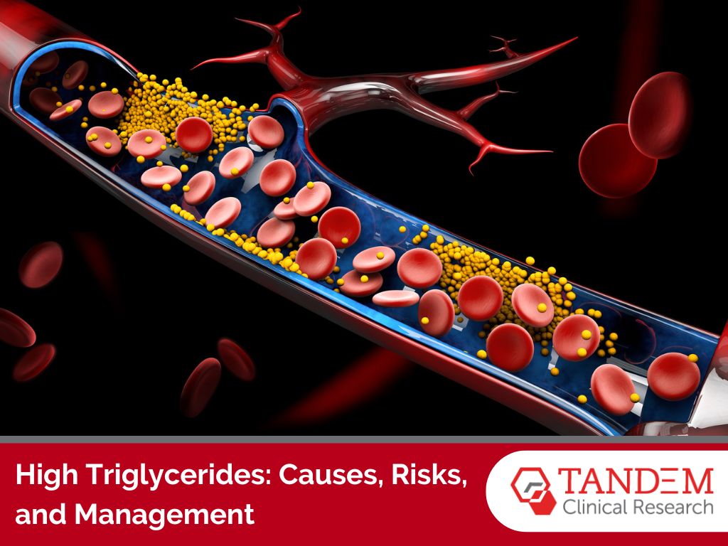 High triglycerides: causes, risks, and management